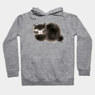 Fuzzy cat Hoodie